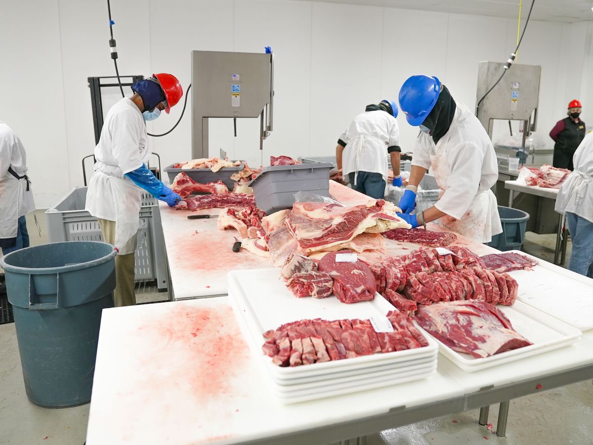 Meat processing team for Kepak hard-to-fill role case study
