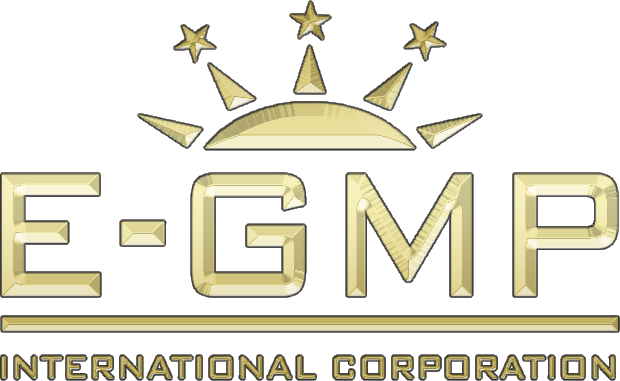 E-GMP International Corporation